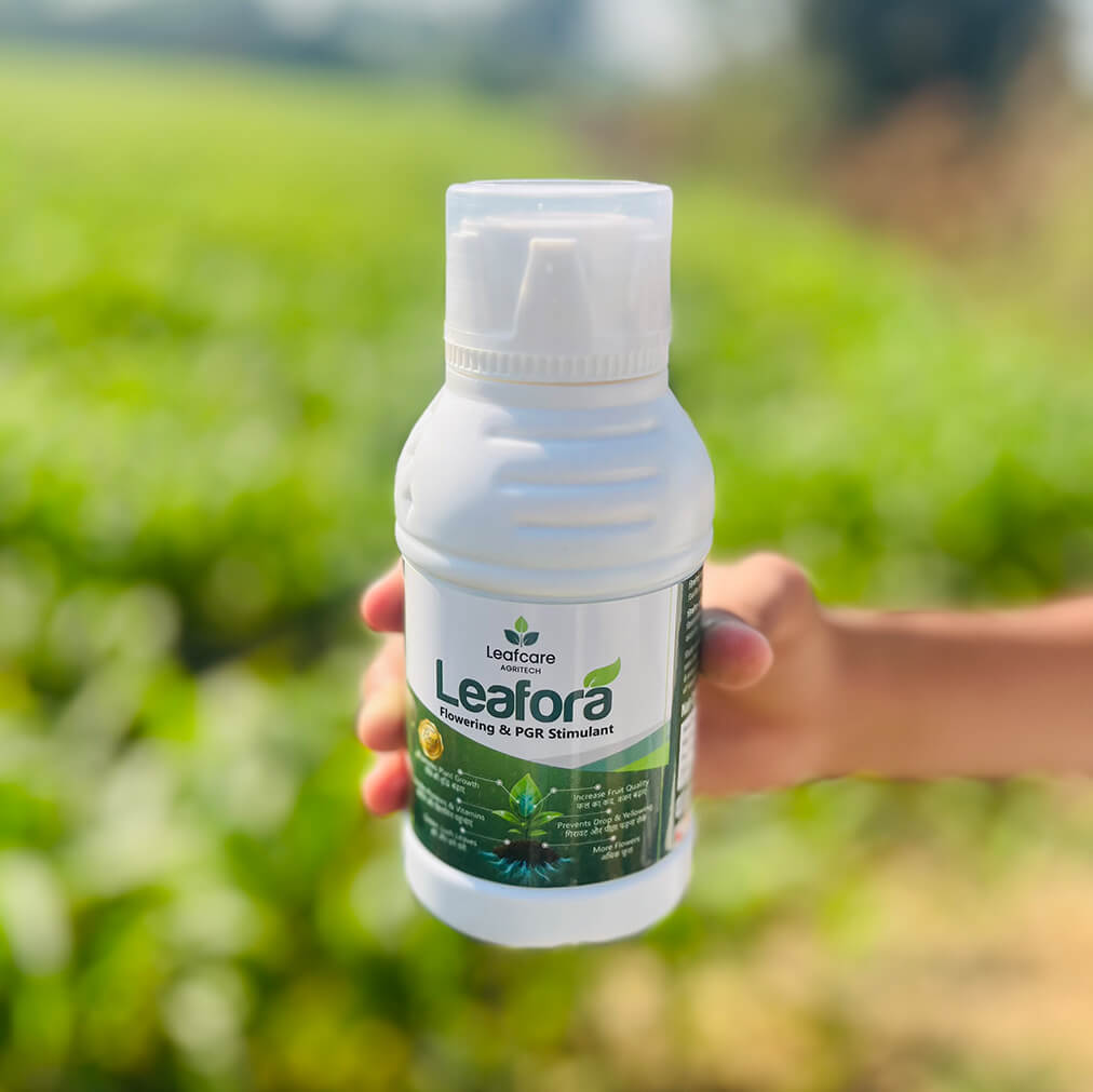 Leaflora_by_leafcare1-1