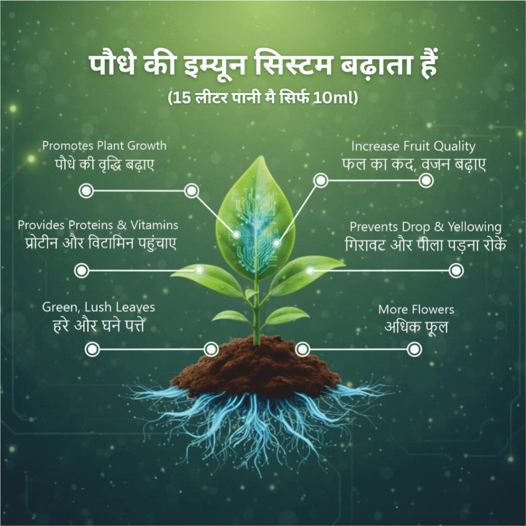 Leafora product details